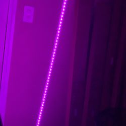 5FT Led Light Whip Quad Polaris can am Raptor