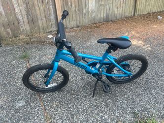 REI Coop Rev 16 bike