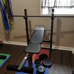 Weight Bench 