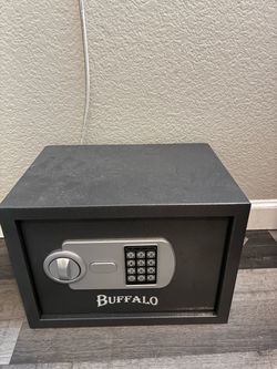 Buffalo Small Safe guns paperwork meds