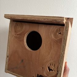 Bird house 