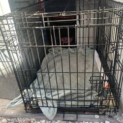 Cage