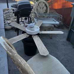 Free Chairs(2), Black Planter Pot (2 Medium)