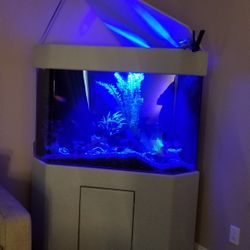 Fish Tank 120 Gallon 