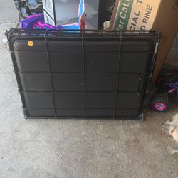 Case For Dog