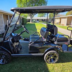 2025 Electric Cart-Evolution