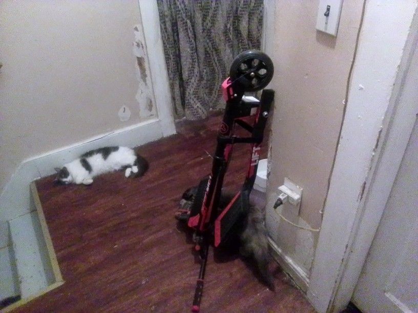 Y Filker Lift Scooters
