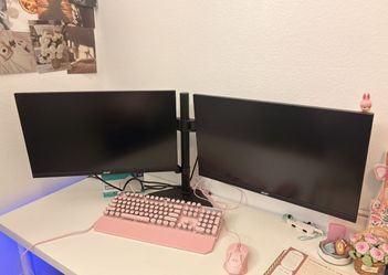 Dual Monitor + Stand