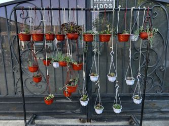 Hanging planters