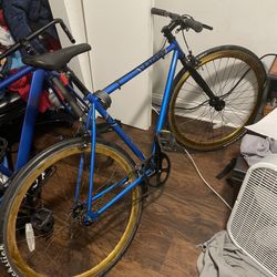 Golden Cycle Lager Fixie