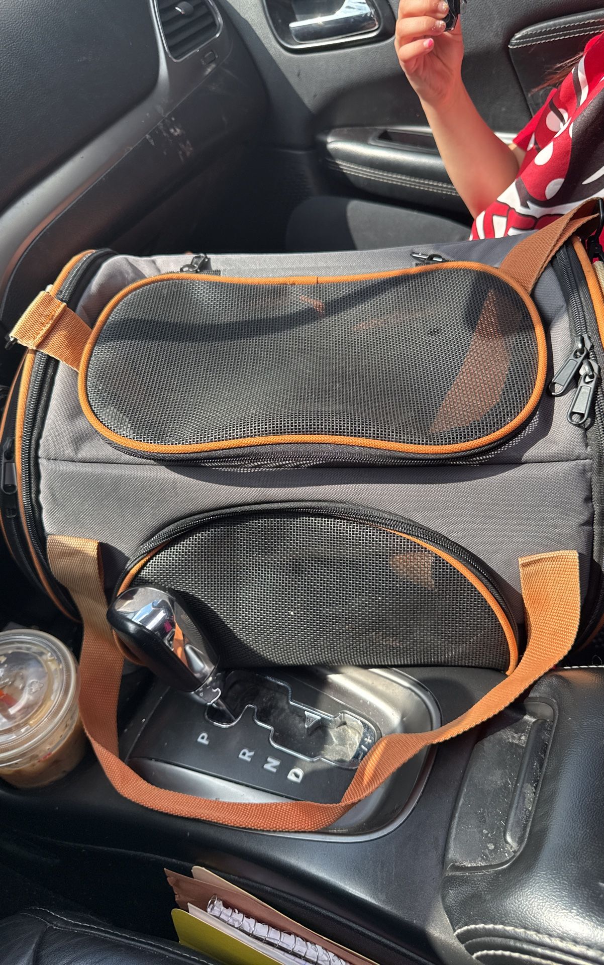 Dog Bag