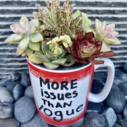 SUCCULENT ARRANGEMENT 