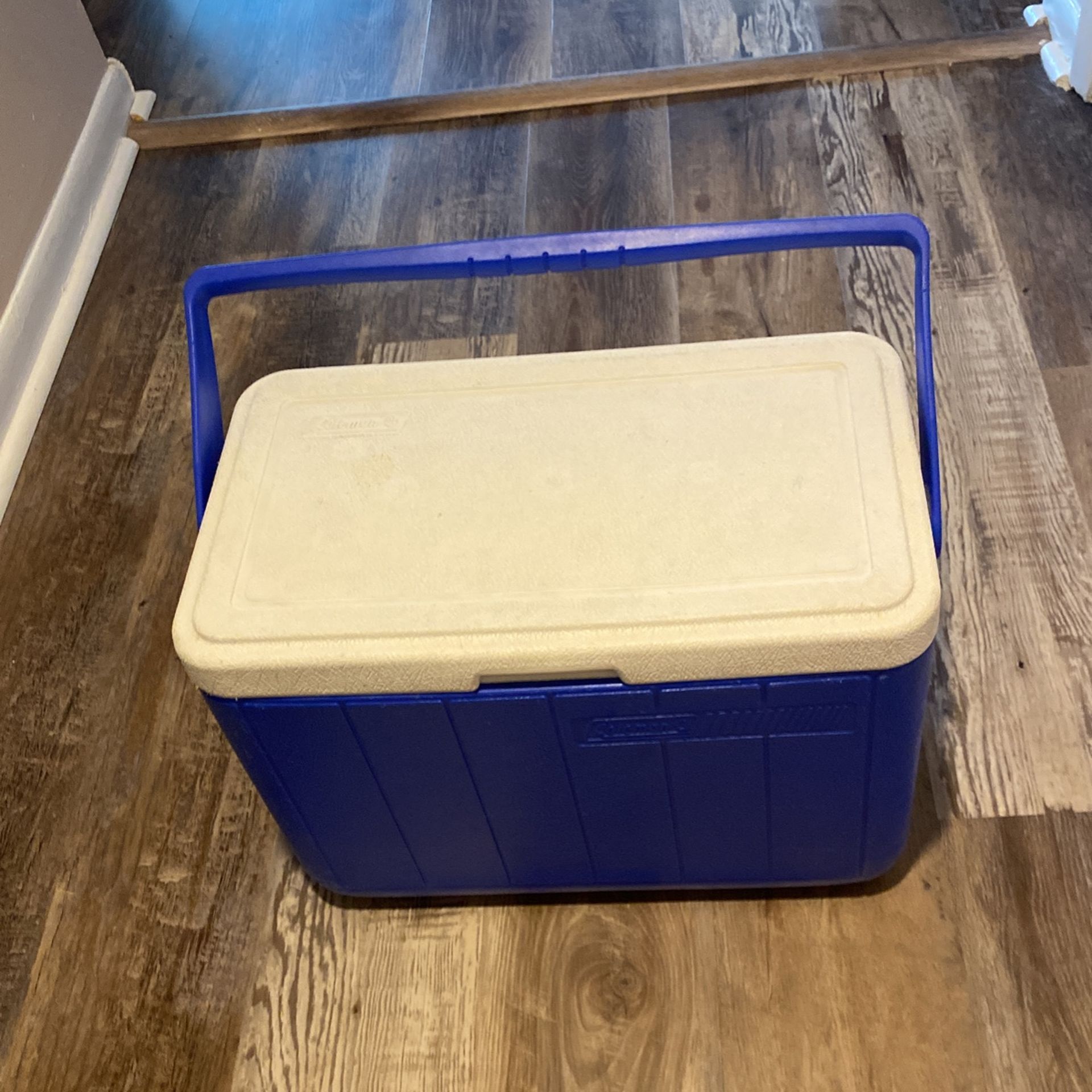 Coleman Cooler 14x18x11