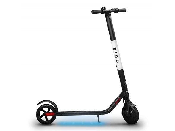 Personal Bird Scooter