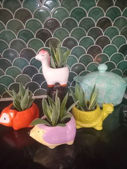 Small ceramic animals with baby agaves