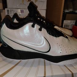 Nike Lebron XXI 21 - Size 10