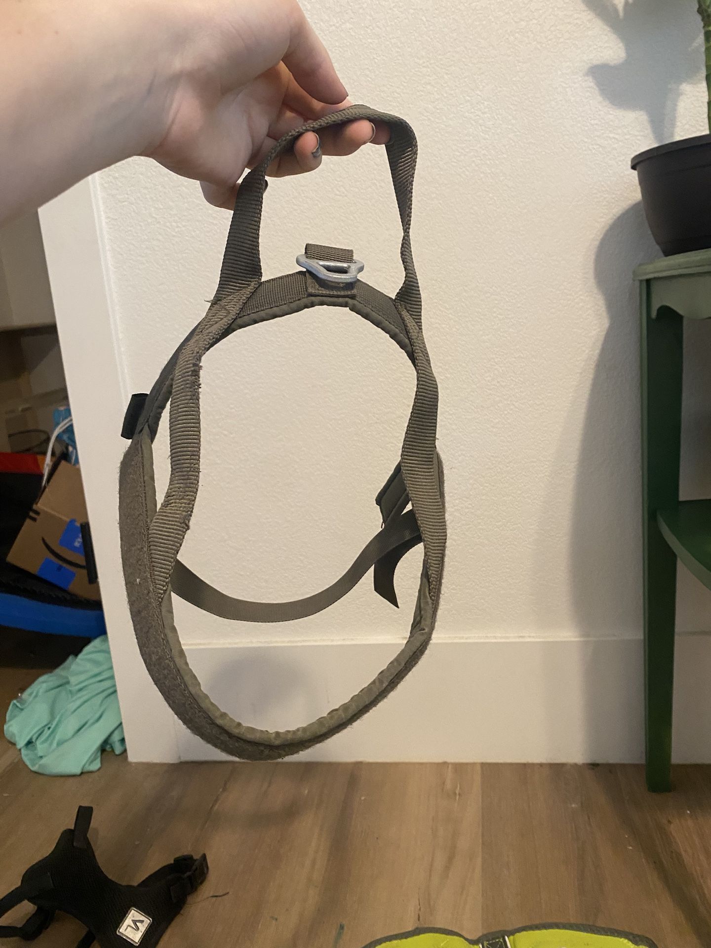 medium dog harness