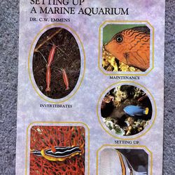 Saltwater Aquariums