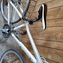 Giant Bike