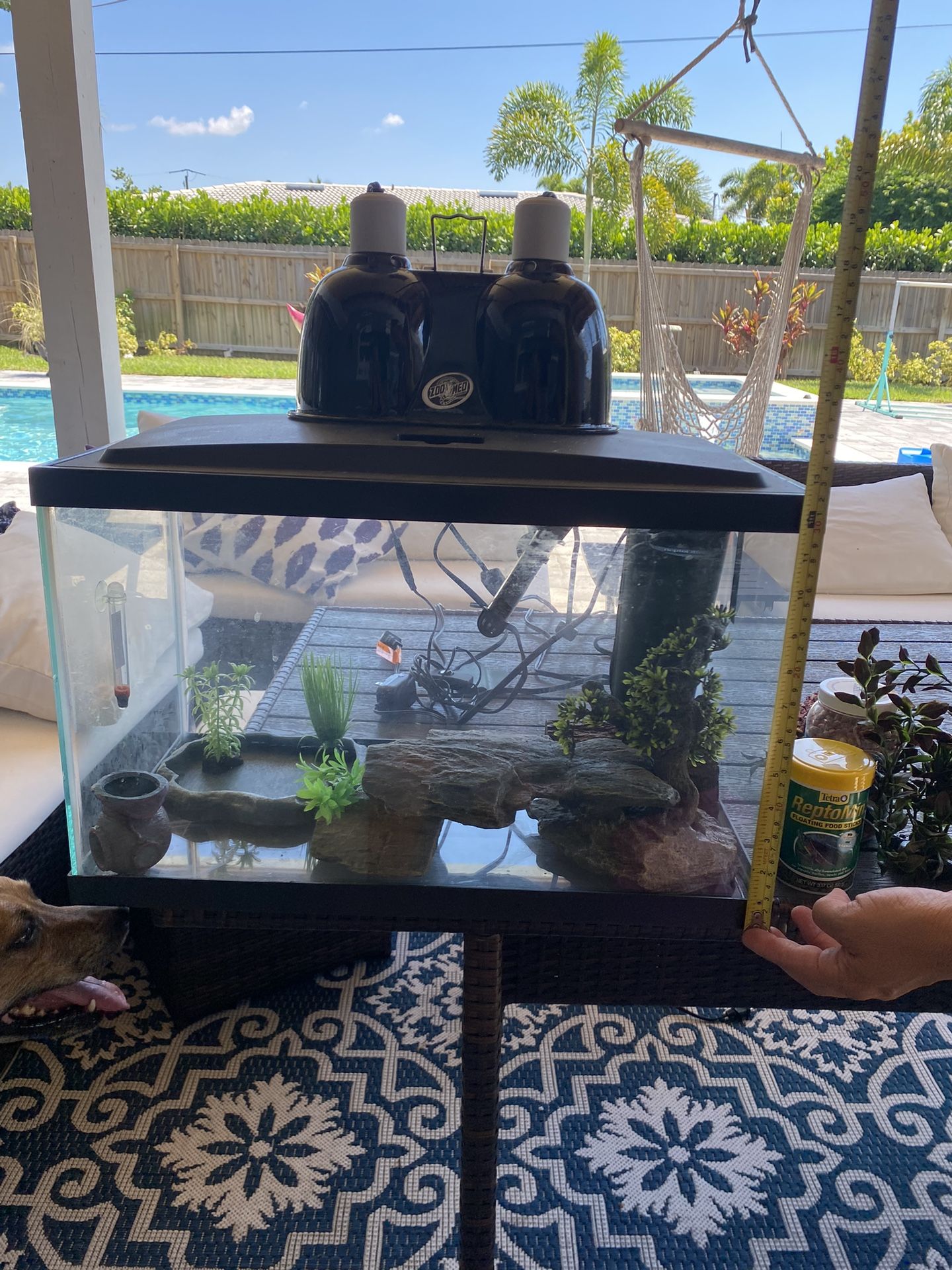 Terrarium W/ Accessories