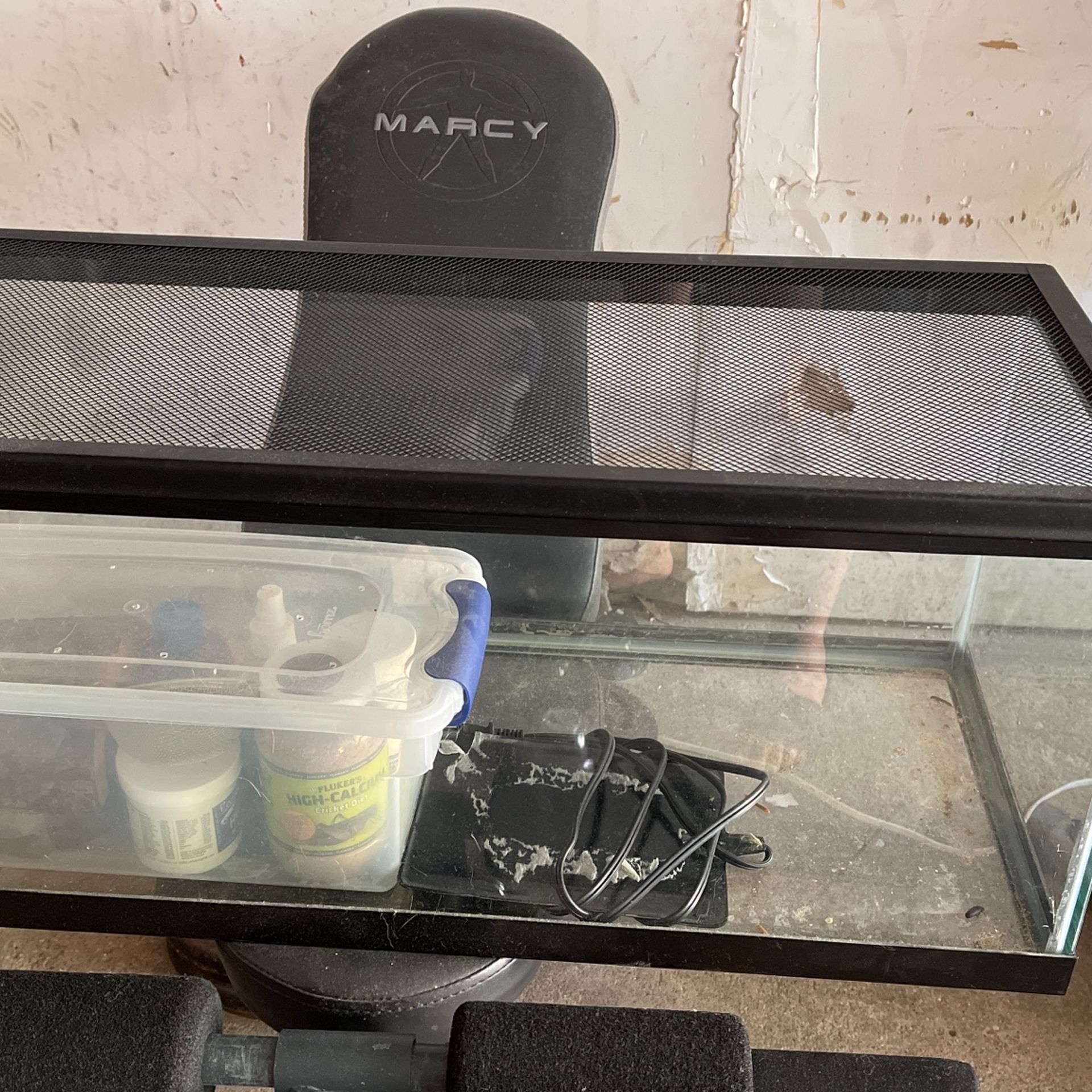 Lizard Tank