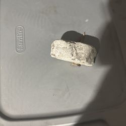 Rock