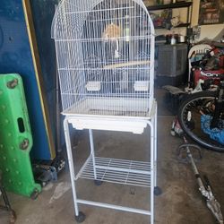 Bird Cage 