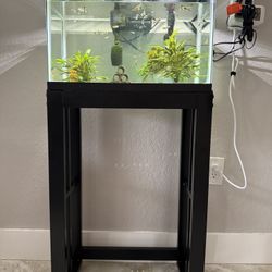 10 Gallon Freshwater Aquarium Setup - Fully Equipped