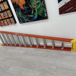 12 Foot Ladder