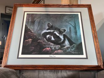 Baby Raccoon Art Print