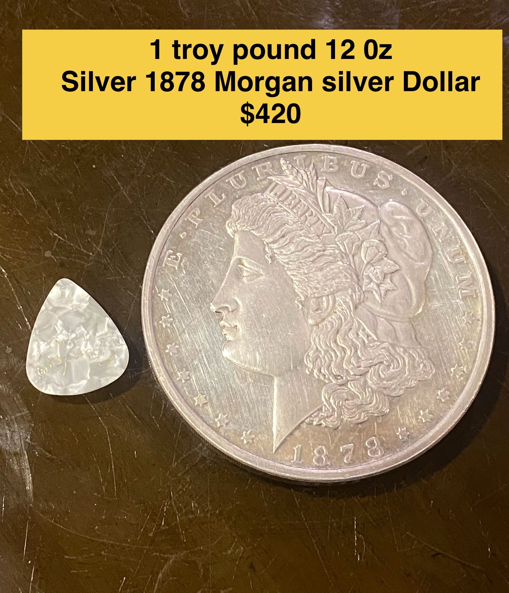 One Troy, Pound 1878 Morgan, Silver Dollar (12oz)