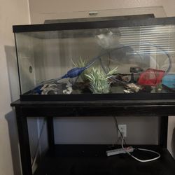 40 Gallon Fish Tank With Stand
