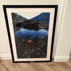 Signed and framed Raymond Gehman photograph