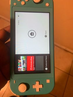 Switch lite