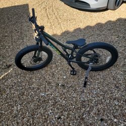 Roscoe Trek Silver Alpha Aluminum Bike