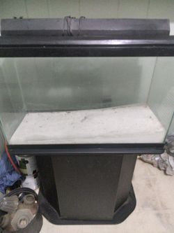 Fish Tank And Stand