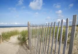 Seeking Beach Weathered Wooden Dune/snow Fencing