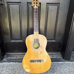 Crown Professional Guitar With Soft Case