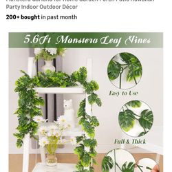 Decorative Plant/Vines