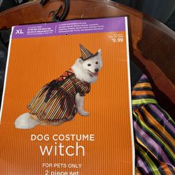 Witch Halloween Costume For Dog