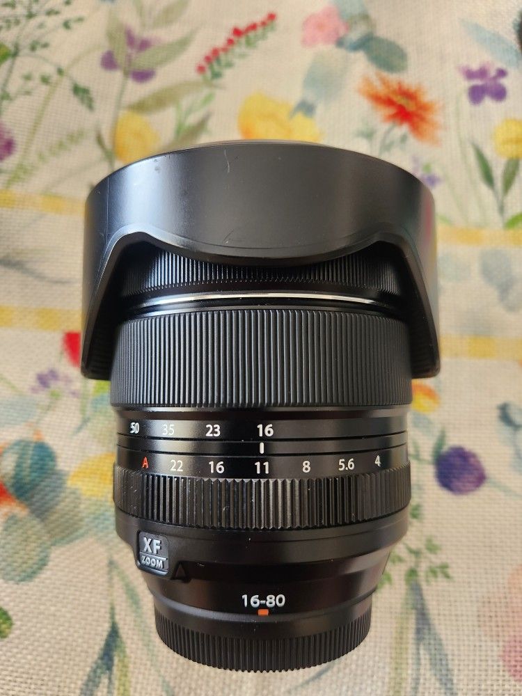 Fuji 16-80