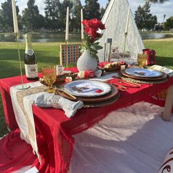 Luxary Picnic Decor