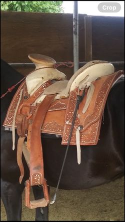 Montura fuste 15