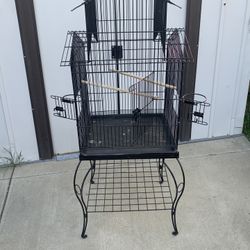 Bird Cage