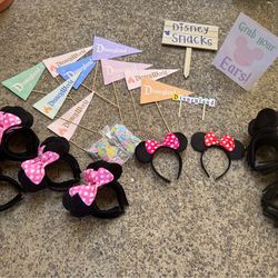 Disney Themed Party