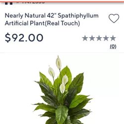 Artificial Inside Plant