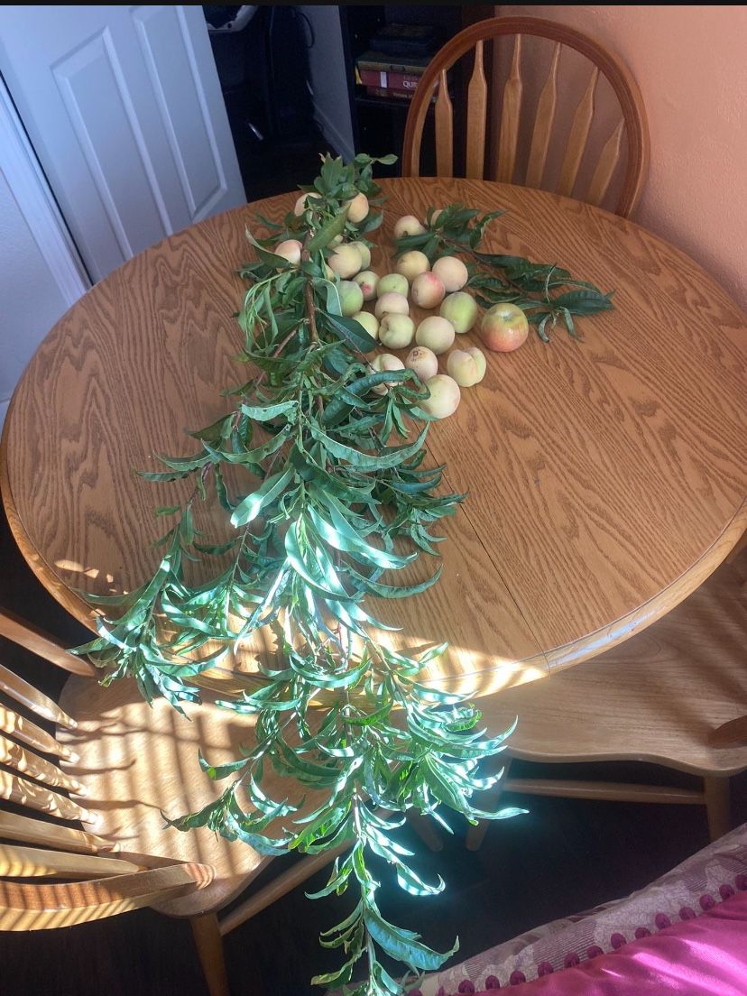 Wooden Dining Table Expandable 4-5.5ft