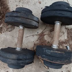Miscellaneous Weight Plates