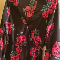 Hint Of Blush Women's Black/Red Rose Dress