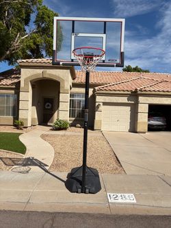 Lifetime Portable Basketball Hoop